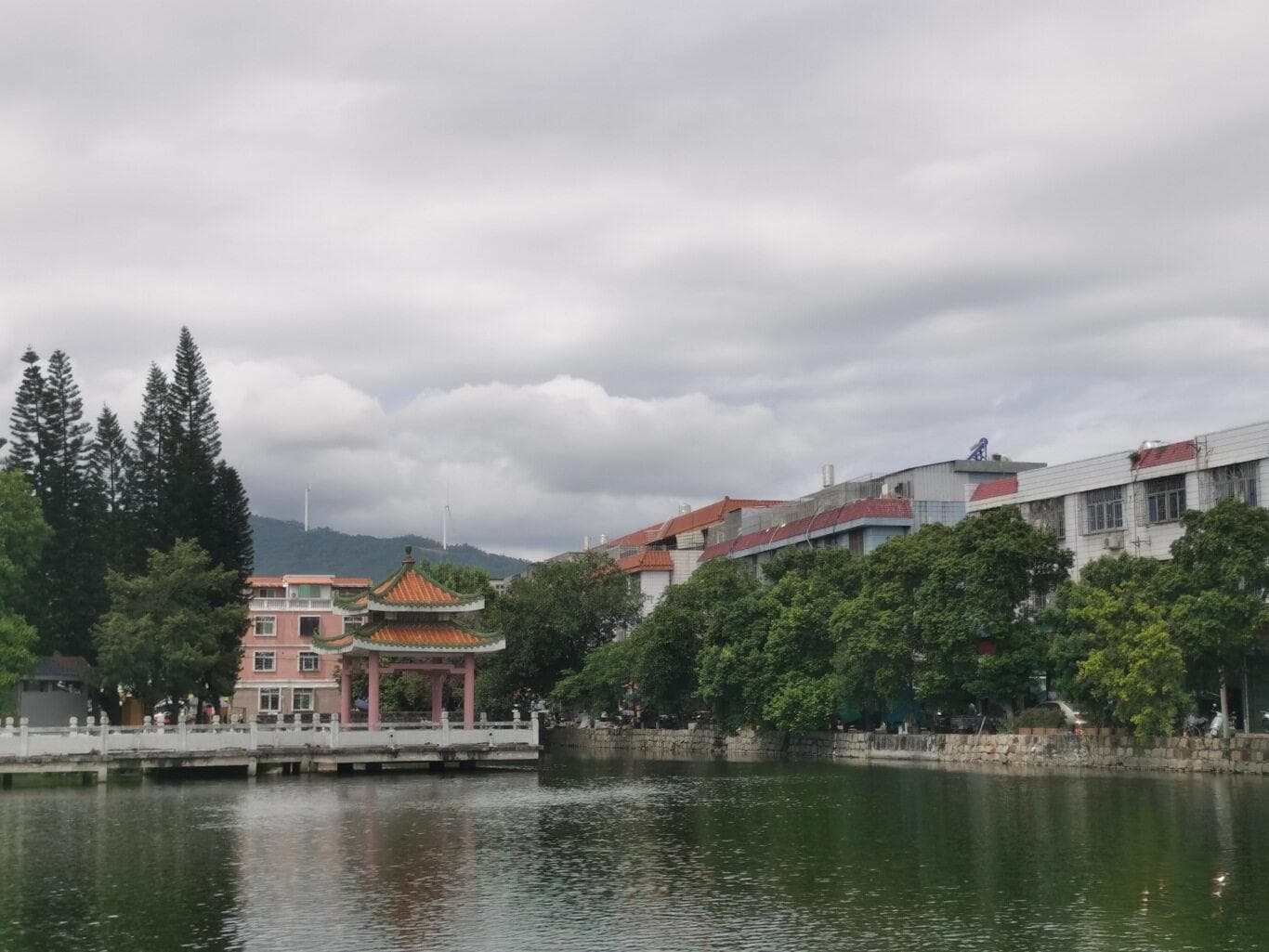 广东饶平县钱东镇：盐焗鸡之乡打造宜居宜业美丽圩镇