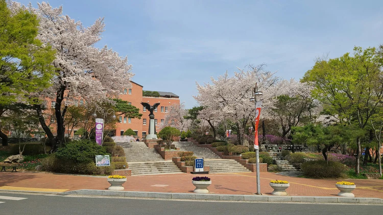 济州岛春秋季旅游大PK：樱花vs枫叶，哪个更让你心动？
