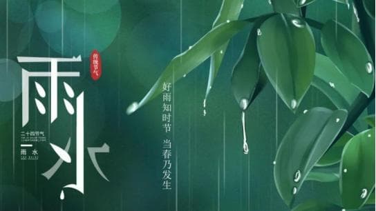 雨水节气校园健康防护指南：从学校到家庭的全方位防护建议