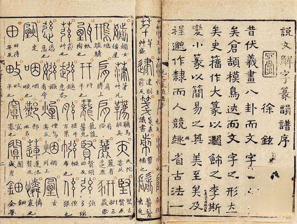 语言学：从语音到语用的全面探索
