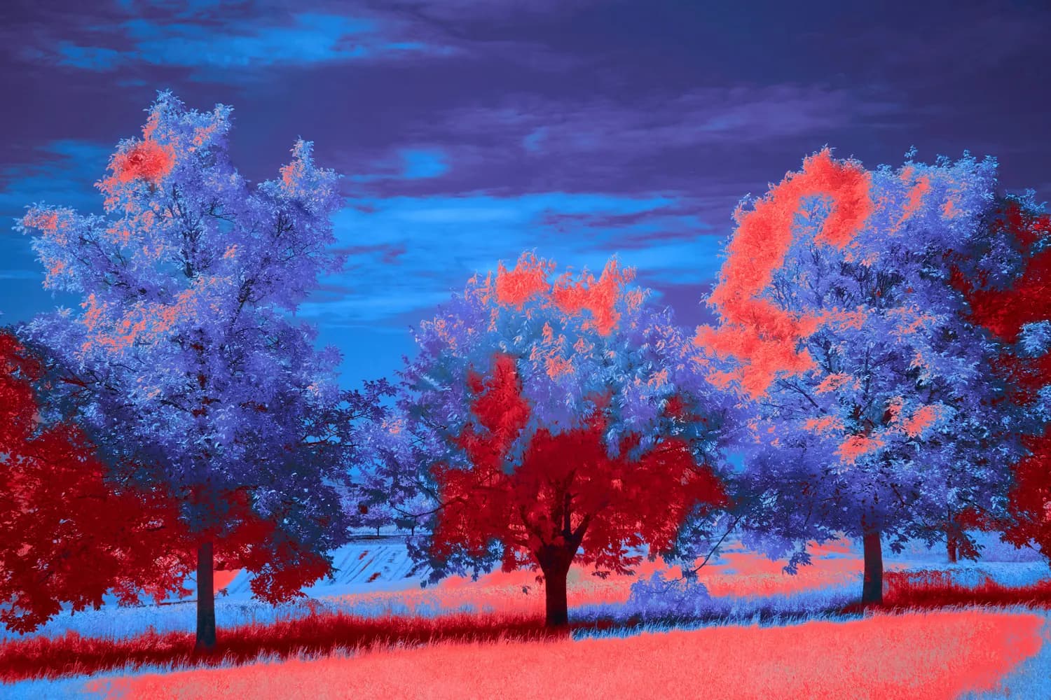 风景画中的情感密码，你get了吗？