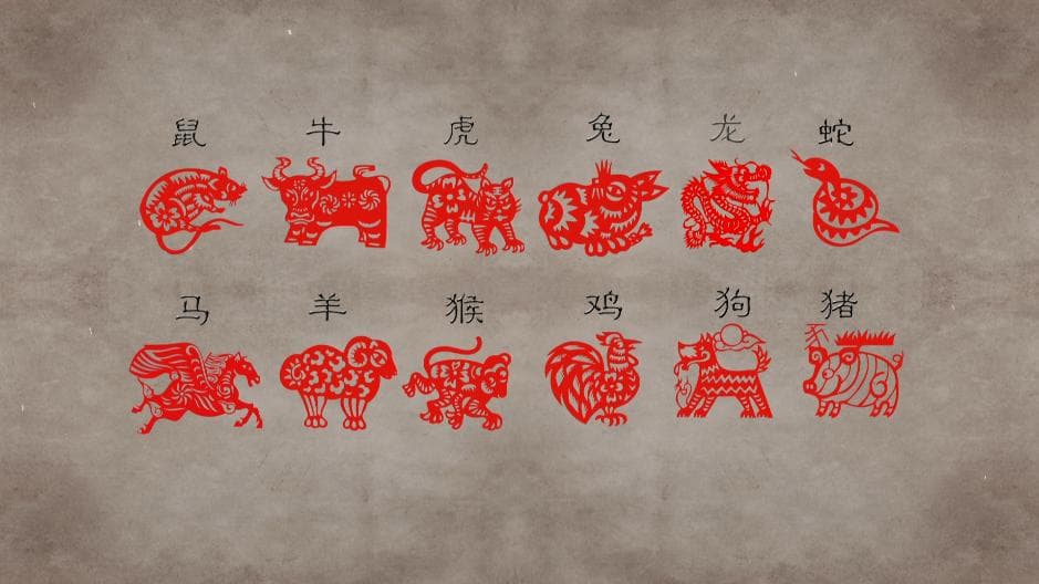 在十二生肖中，龙为什么只排第五？