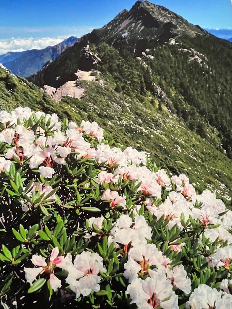 玉山登山步道最佳时机：解析不同季节登玉山的优劣势，提供合理的行程建议