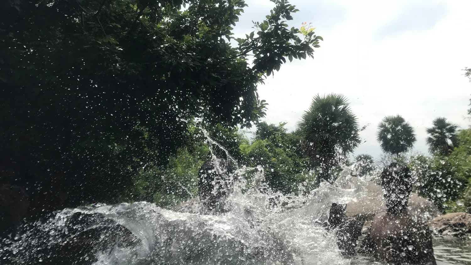 云南傣族春节习俗大揭秘：泼水节与象脚鼓比赛里的独特年味