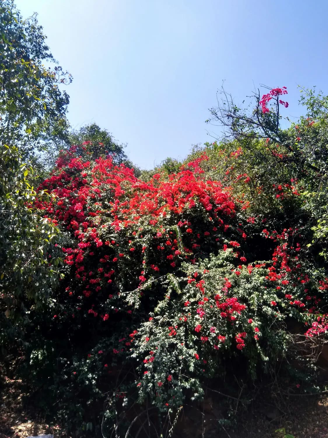 中级职称：职场人的重要里程碑
