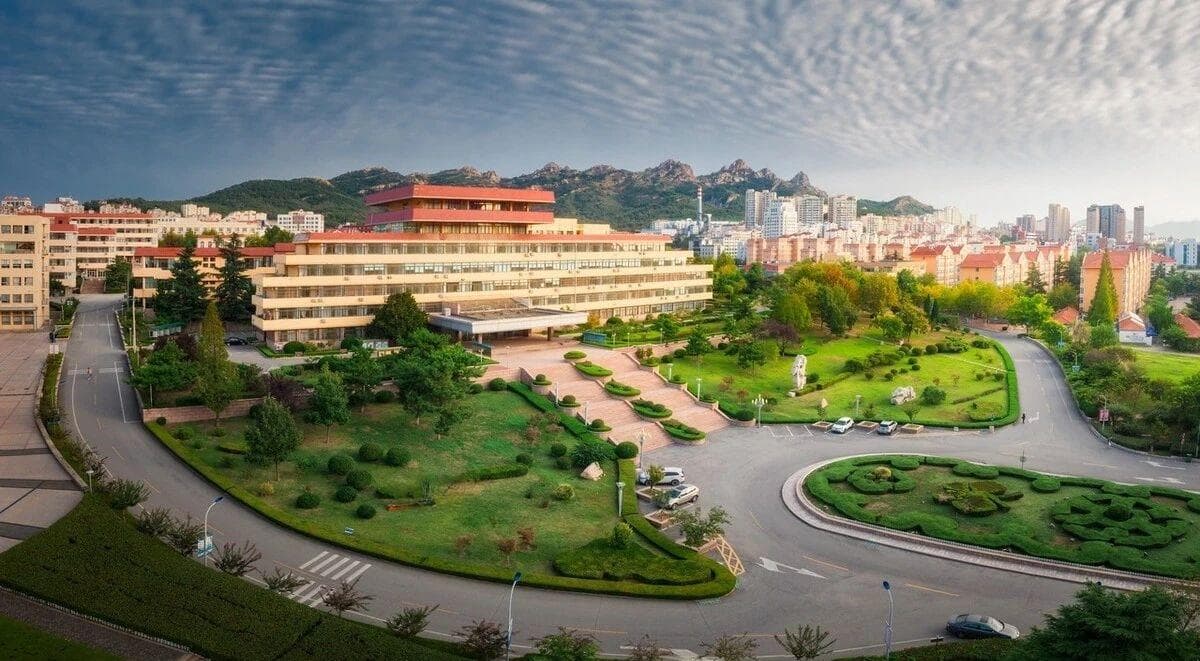 青岛大学 | 以数据为核心，“四维一体”本研贯通培养新模式