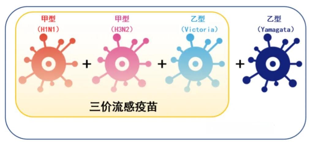 某热门流感疫苗被召回，今年流感季预防还有哪些疫苗可选择？