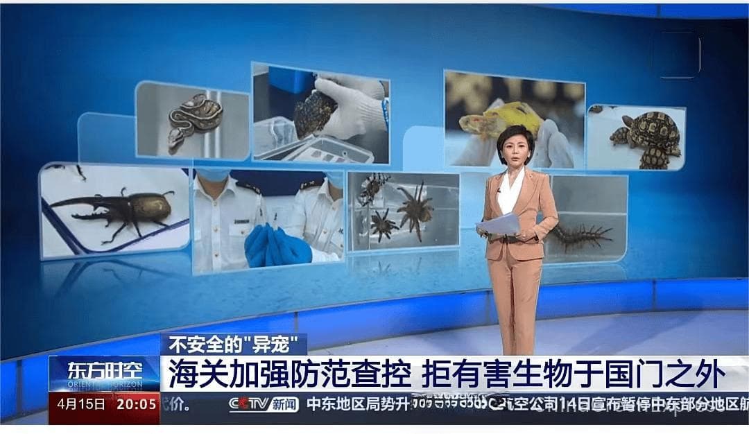 “异宠”风险引关注 | 央视新闻报道