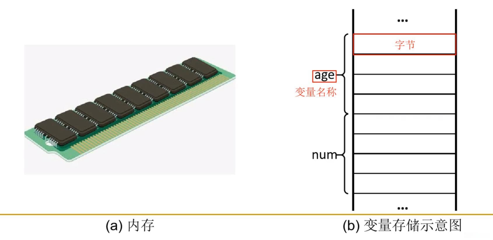 一文读懂编程基础：变量与常量详解