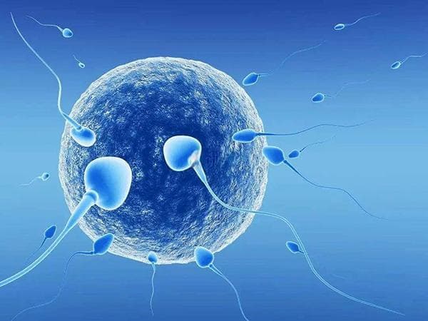 揭秘双胞胎：概率、特征与孕育全攻略