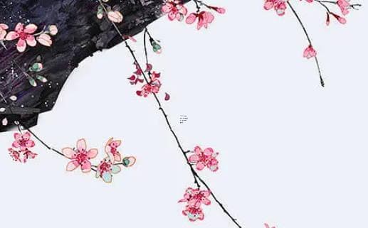 属兔的岁数如何查询及计算方法：从干支历法到文化象征
