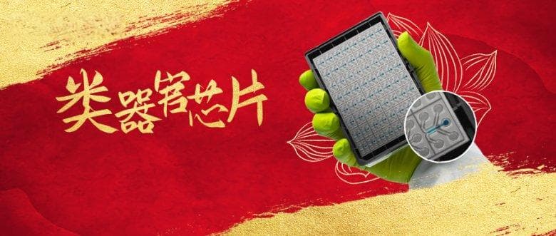 七色宝莲竟成真？类器官芯片：现实版“重塑肉身”来了！