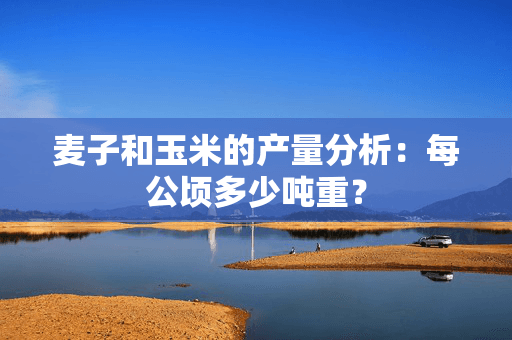 麦子和玉米的产量分析：每公顷多少吨重？