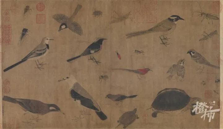 千年前的禽鸟，仿佛从画中飞了出来！宋画里的鸟类，你能认出来吗？