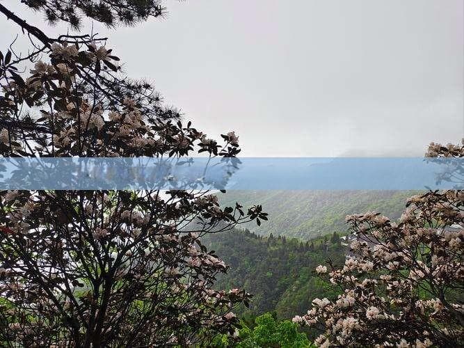 峨眉山老年人优惠政策及旅游攻略：门票价格与上山方式
