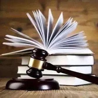 母亲承诺帮儿子还款，在欠条上重新约定利息，有效吗？