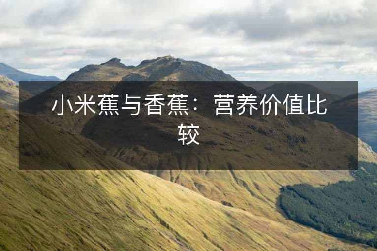 小米蕉与香蕉：营养价值比较