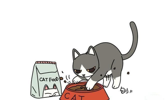 如何帮助猫咪增肥（有效的饮食和生活习惯助力你的猫咪增重）