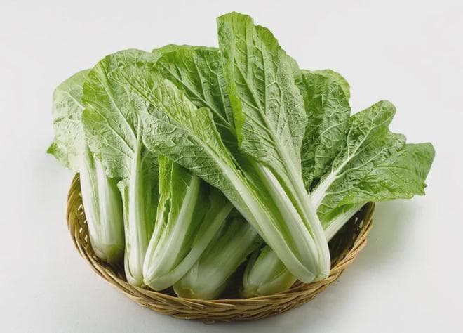 小白菜馅饺子：清新营养的餐桌新选择