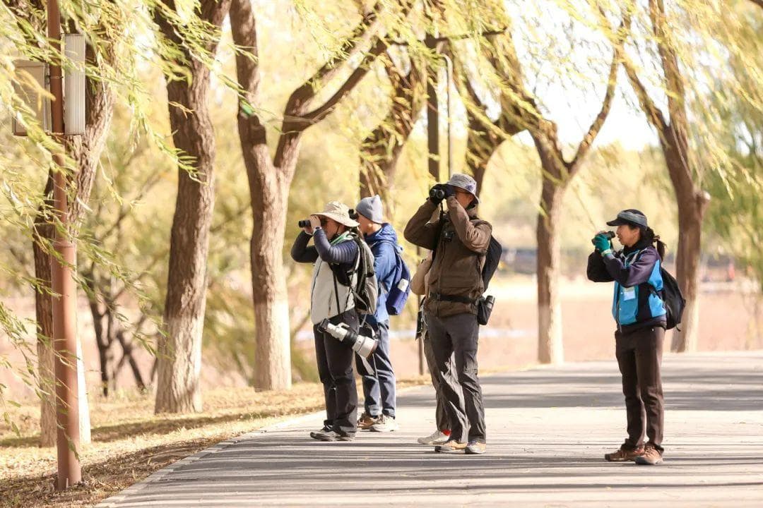 3小时内记录到74种鸟类！2024年北京城市观鸟大赛在麋鹿苑举办