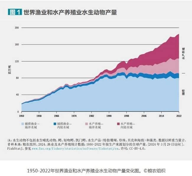 联合国粮农组织发布《2024世界渔业和水产养殖状况》报告