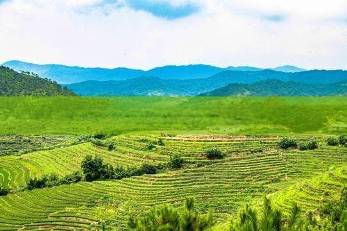 成都及周边旅游全攻略：从历史文化到自然风光