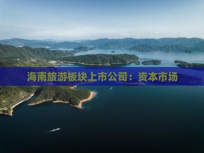海南旅游板块上市公司：资本市场表现分析