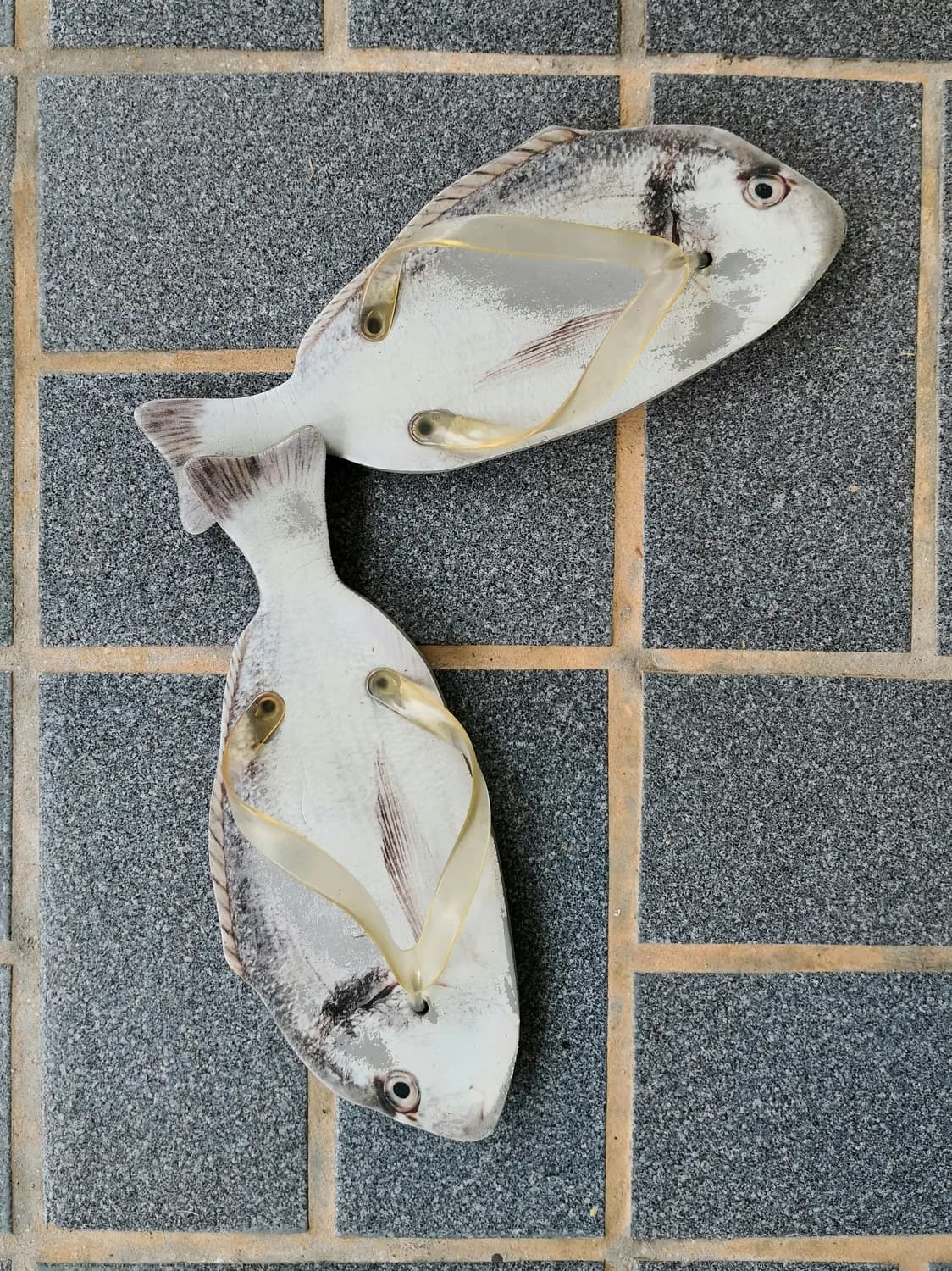 广东咸鱼火遍全网，福建婚礼必备！