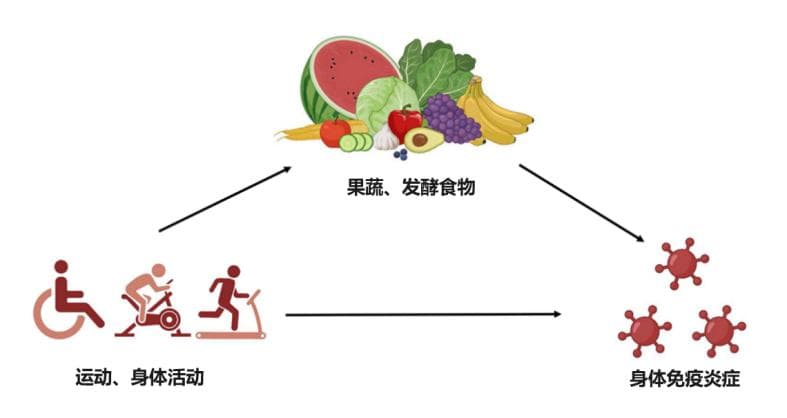 抗炎饮食、适度运动、健康睡眠：延缓衰老的最佳生活方式