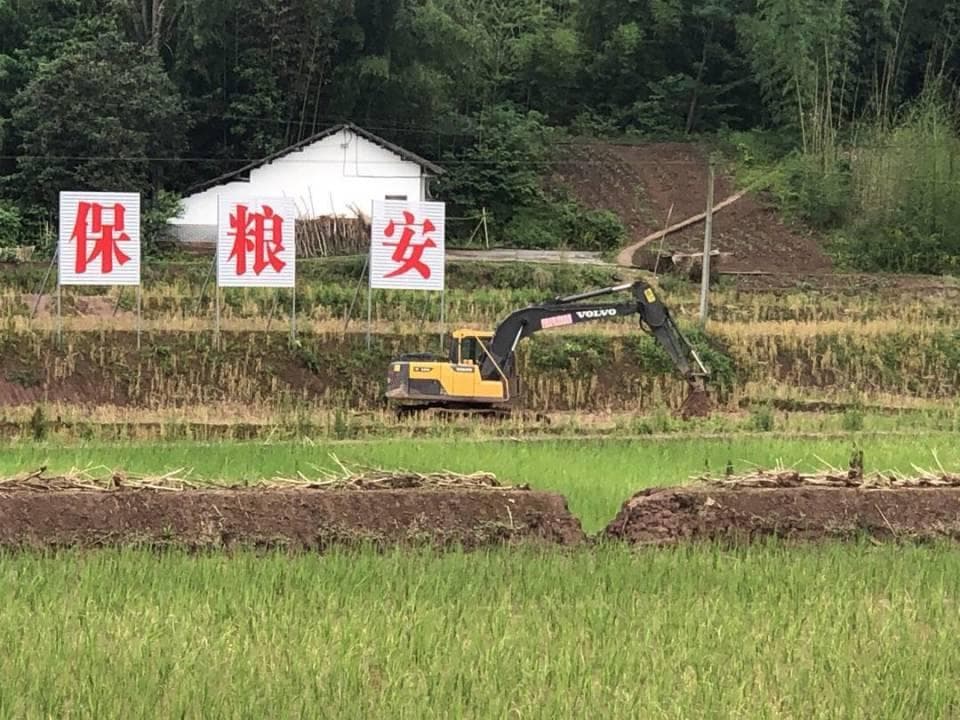 广安破解丘陵地区土地细碎化难题：创新"333"治理模式打造高标准农田