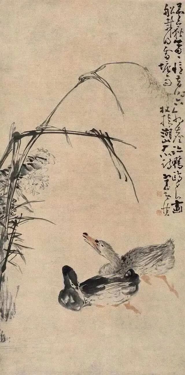 中国花鸟画简史——精简收藏版