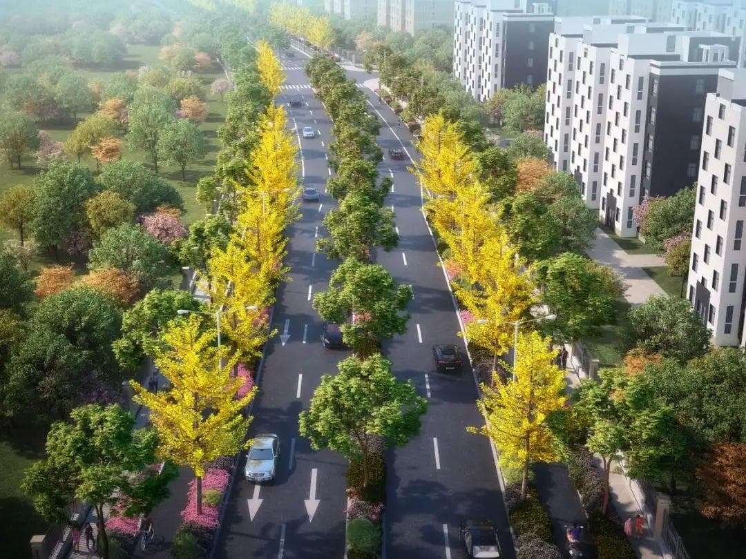 提升骨干道路通行能力，浦东加快建设“10、20、30”交通出行网络