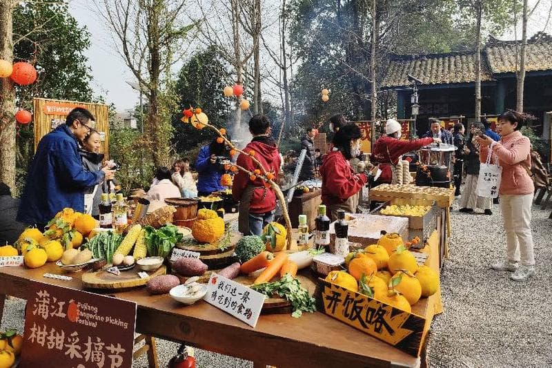 铁牛村：一个由"新村民"共建的未来乡村样本