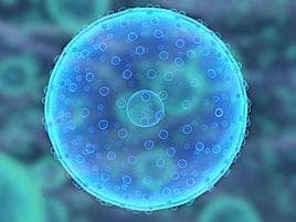 常见蛋白质生产的工具细胞类型介绍