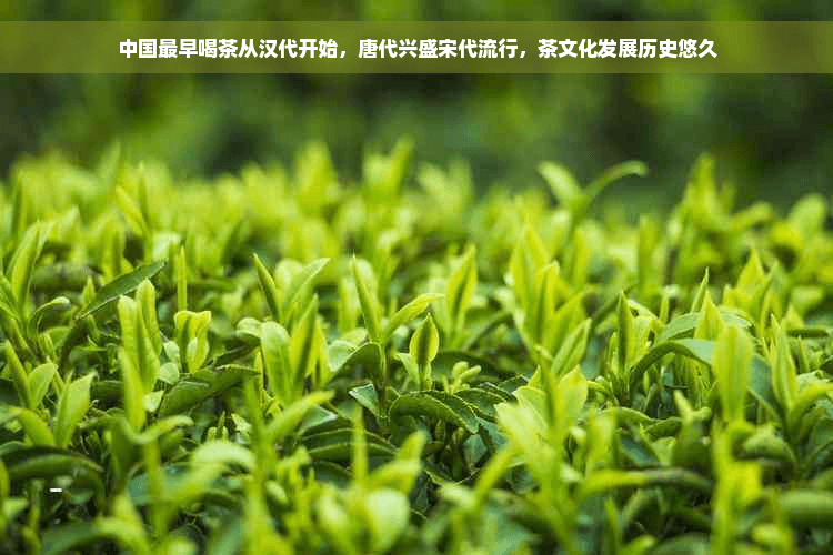 中国最早喝茶从汉代开始，唐代兴盛宋代流行，茶文化发展历史悠久