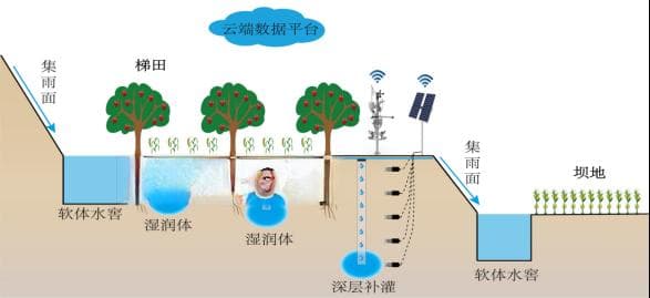 旱作果园雨水集蓄根域补灌技术与应用——陕西省黄土高原旱塬区节水典型案例