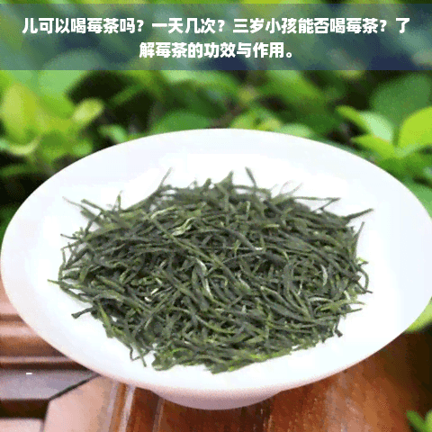 儿童可以喝莓茶吗？一天几次？三岁小孩能否喝莓茶？了解莓茶的功效与作用。