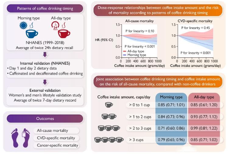 Eur Heart J：早晨类型 vs. 全天类型，咖啡饮用时间模式对健康的影响