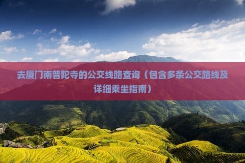 去厦门南普陀寺的公交线路查询（包含多条公交路线及详细乘坐指南）