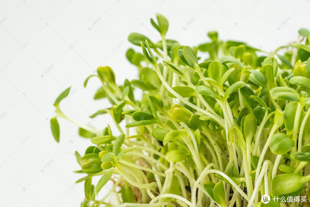 吃豆芽对特发性震颤人群有帮助么？
