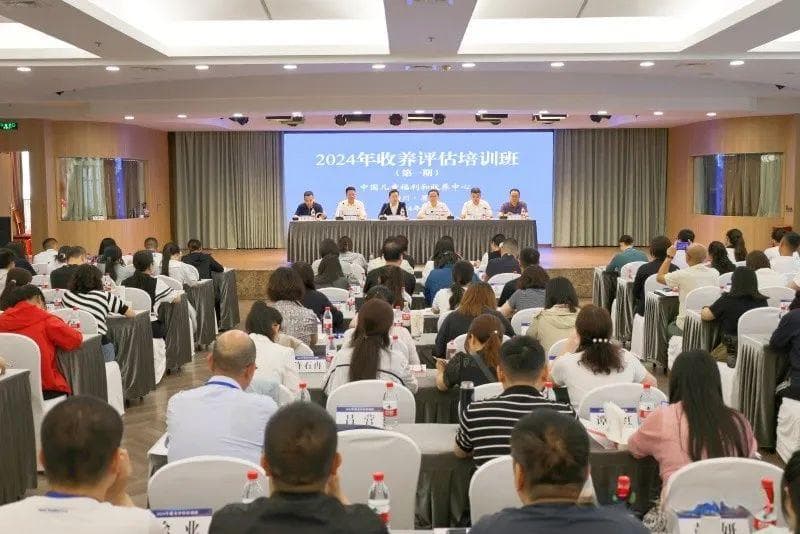 跨国收养，早该结束了