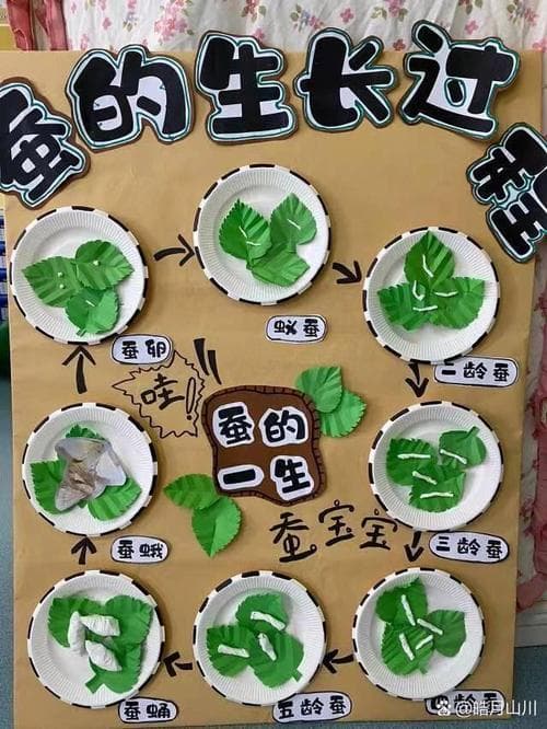 为什么都爱观察蚕宝宝？背后秘密揭晓！