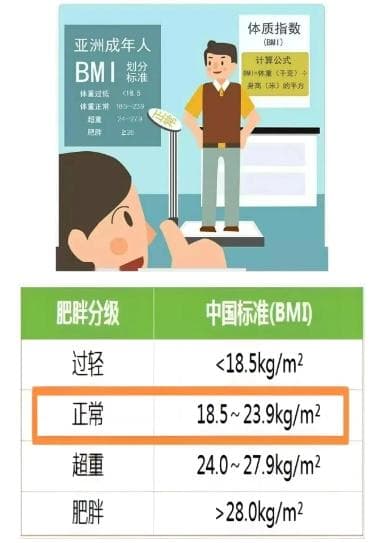 科学解析，科学管理，健康体重全攻略！