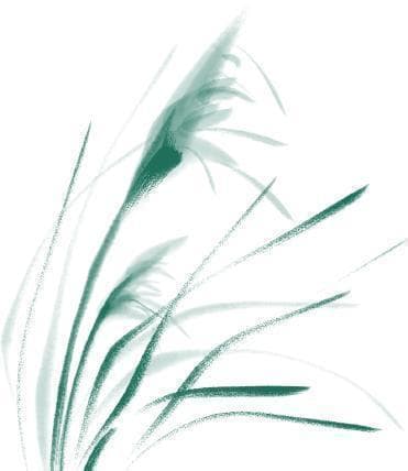 艾灸科普：七种艾灸方法详解及适用疾病