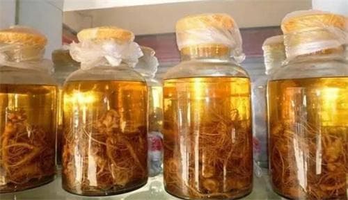 天麻泡酒的功效与作用