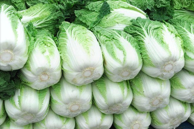 白菜虽好，但并非人人皆宜：一份实用的健康饮食指南