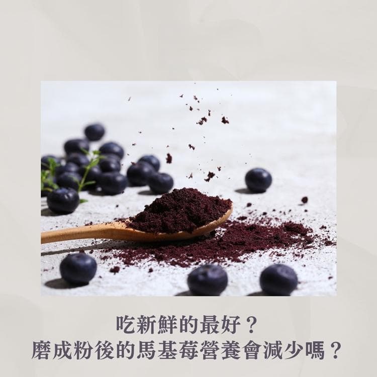 吃新鲜的最好？冷冻干燥磨成粉的马基莓粉营养会减少吗？