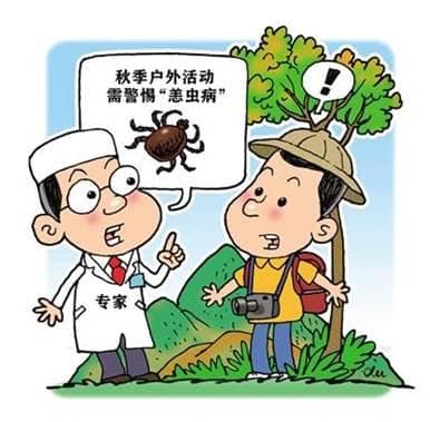 小虫子大麻烦！恙虫病高发季，如何做到别来无“恙”？