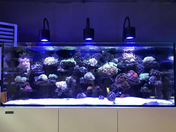 鱼缸水泵选购指南：交流与变频水泵对比及鱼缸大小匹配方案