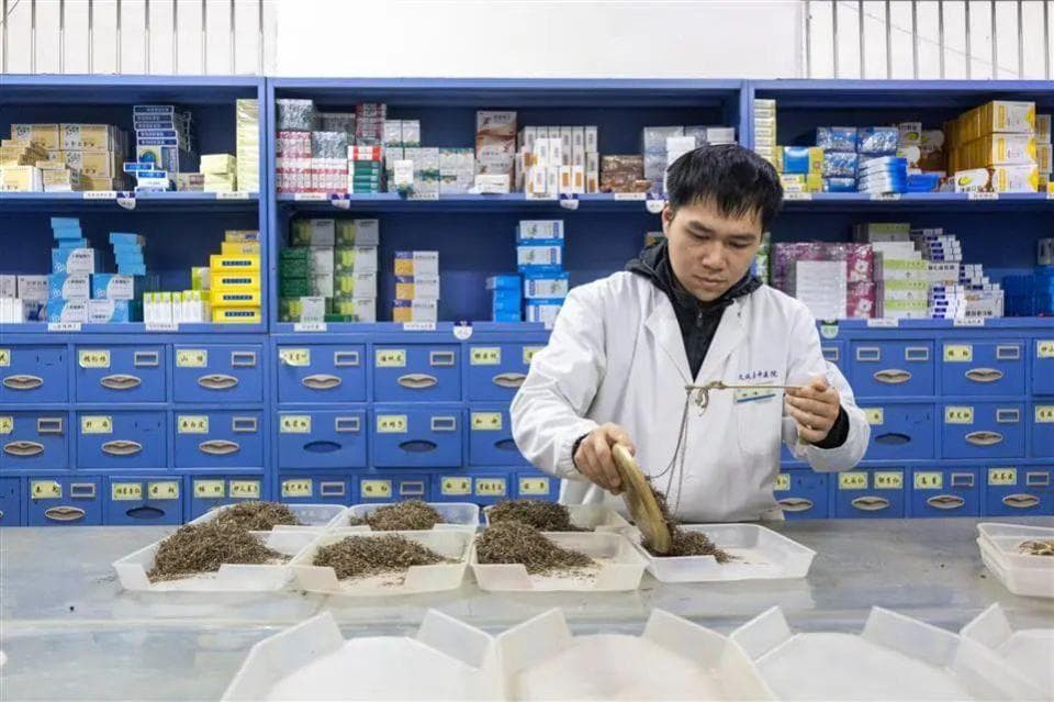 揭秘中医药中的“蛇”类药材
